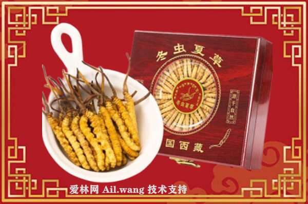 高邑虫草回收店